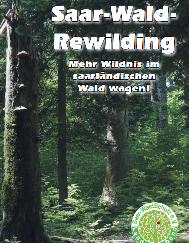 Rewilding